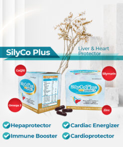 SilyCo Plus