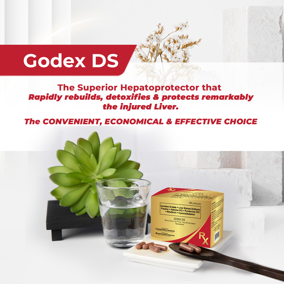 Godex DS 1